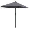 vidaXL Parasol de Grădină Antracit 294 x 150 x 223 cm