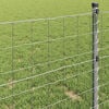 Imagine in miniatură a produsului 4 din 9