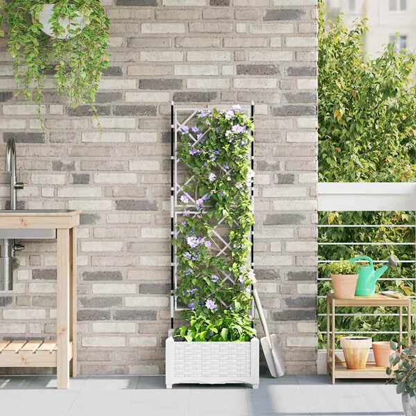 Se afișează imaginea 2 din 9