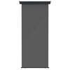 vidaXL Awning lateral pentru balcon 60 x 250 cm