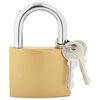 vidaXL U Lock cu Chei Alamă 6 x 2 x 9,1 cm Fier