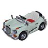vidaXL Vehicul de Călărie Verde Plastic