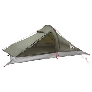 vidaXL Cort de backpacking 2 persoană Verde măsliniu