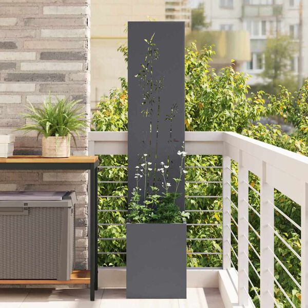Se afișează imaginea 2 din 11