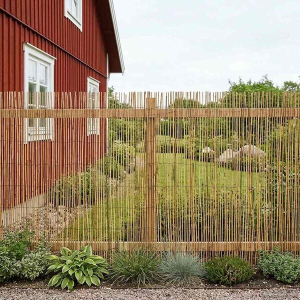 Se afișează imaginea 3 din 7