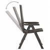 vidaXL Scaune de grădină rabatabile, 2 buc., antracit, plastic