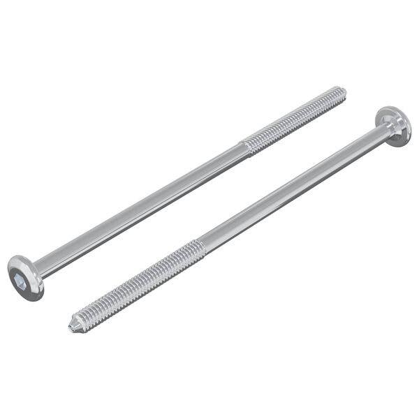 vidaXL Șurub 2 pcs Argintiu M6 x 120 mm Oțel