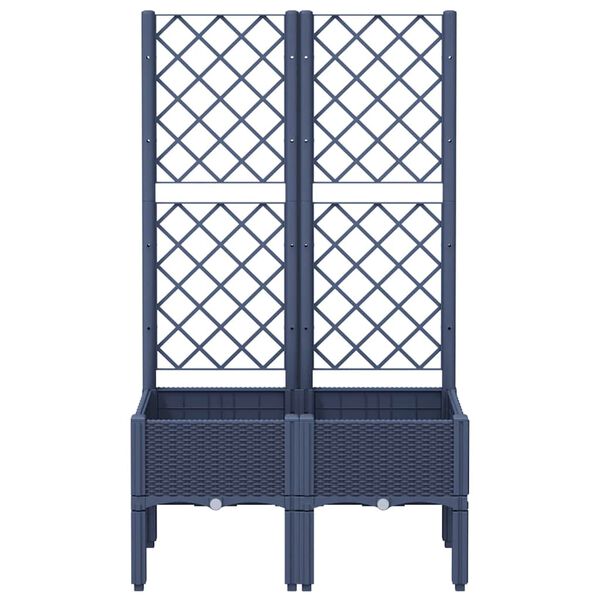 Se afișează imaginea 3 din 8