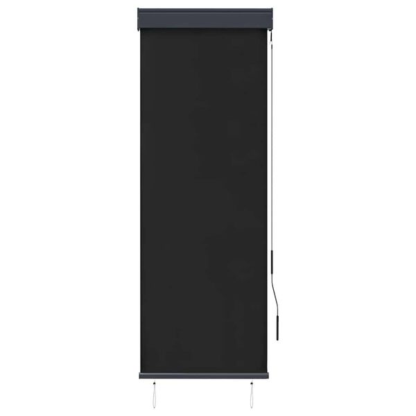 vidaXL Jaluzea tip rulou de exterior, antracit, 60 x 250 cm