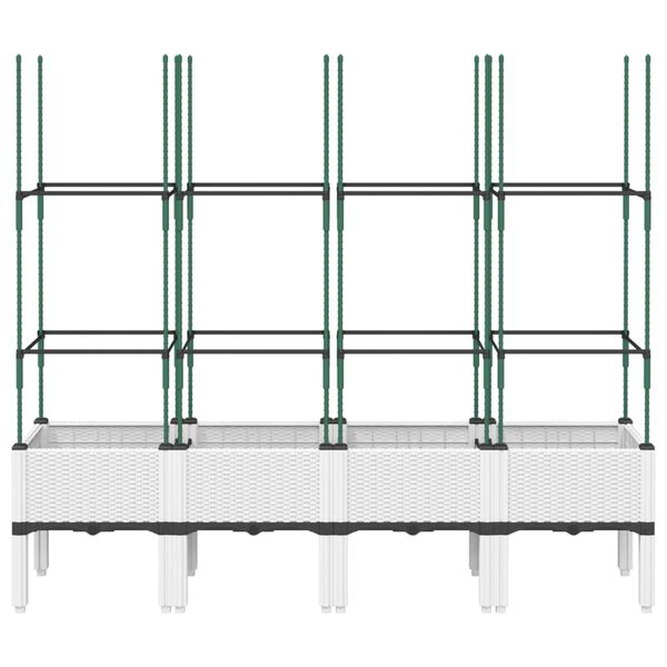 Se afișează imaginea 3 din 7