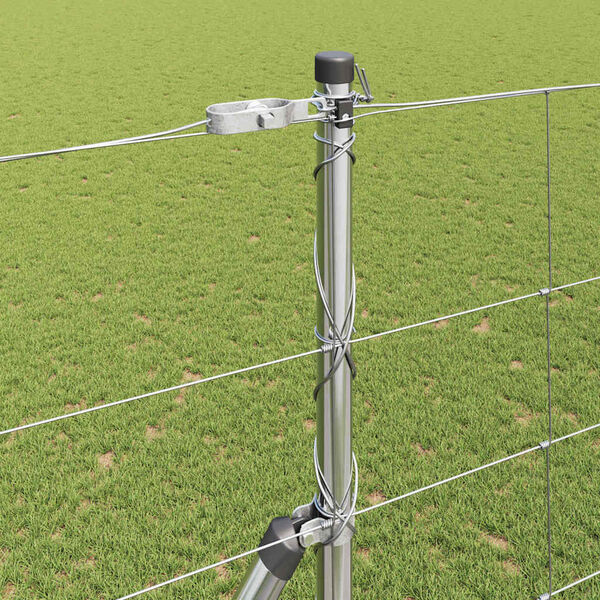 Se afișează imaginea 4 din 15