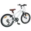 vidaXL Kids Mountain Bike 20 Inci 6-Speed pentru 5-8 ani Alb