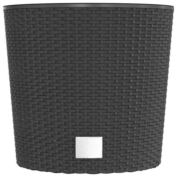 Se afișează imaginea 4 din 7