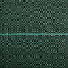 vidaXL Membrană antiburuieni, verde, 2x25 m, PP
