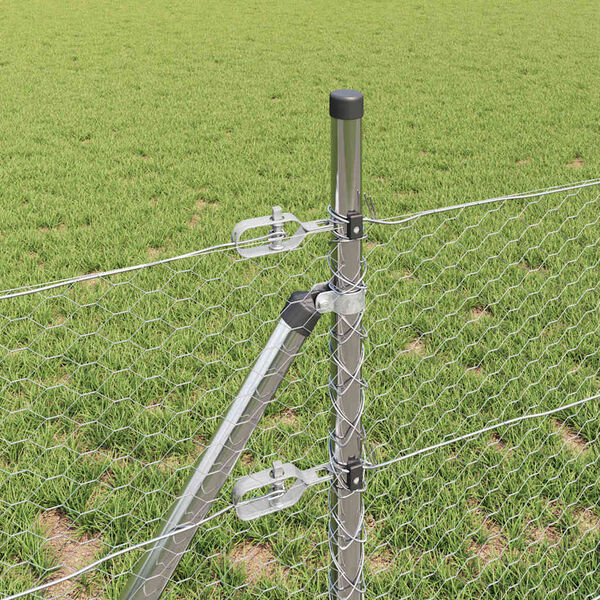 Se afișează imaginea 4 din 15