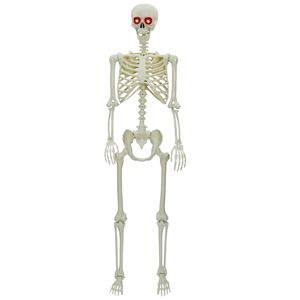 vidaXL Schelet de Halloween Alb 155 x 38,5 cm Polipropilenă