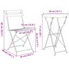 vidaXL Set Bistro Pliabil 3 pcs Antracit Oțel