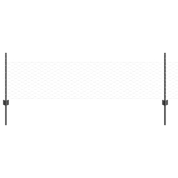 Se afișează imaginea 1 din 13