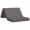 vidaXL Canapea Pat Pliabilă 100 x 67 x 45 cm Gri deschis