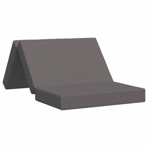 vidaXL Canapea Pat Pliabilă 100 x 67 x 45 cm Gri deschis
