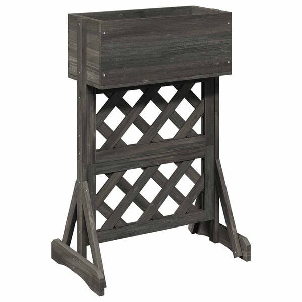 Se afișează imaginea 1 din 10