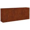vidaXL Strat &icirc;nălțat de grădină, 200x40x80 cm, oțel corten