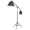 vidaXL Set de iluminat pentru studio cu trepied și softbox