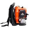 vidaXL Suflantă frunze cu rucsac, pe benzină, 900 m&sup3;/h, 42,7 cmc