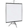 vidaXL Ecran de proiecție cu trepied 81 inch 1:1