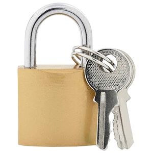 vidaXL U Lock cu Chei 100 pcs Alamă Fier