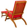 vidaXL Șezlong pliabil și culisant 2 pcs Roșu 55 x 146 x 91 cm