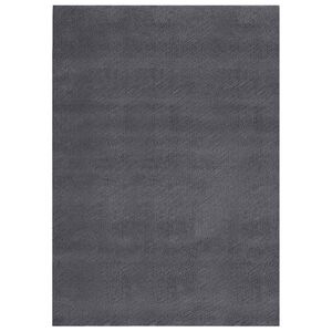 vidaXL Covor lavabil moale și pufos 160x230 cm anti-alunecare antracit