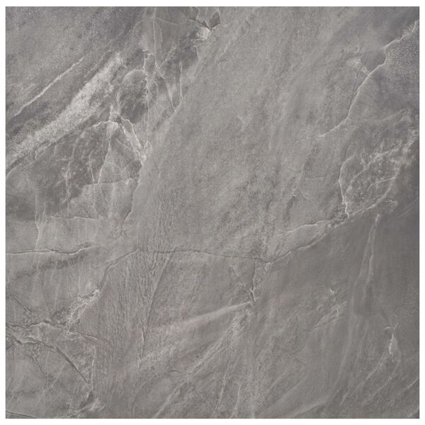 Se afișează imaginea 3 din 6