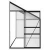 vidaXL Seră, antracit, 7,77 m&sup2;, aluminiu