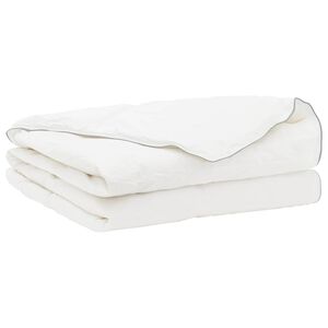 vidaXL Pilotă FULDA 220 x 240 cm Vară 100 GSM 90% puf de g&acirc;scă Alb