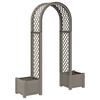 vidaXL Arc de trandafiri cu ghiveci Gri 168,5 x 43 x 207 cm PP