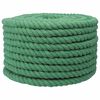 vidaXL Sfoară din Bumbac 20 mm 100 m Verde 100% bumbac