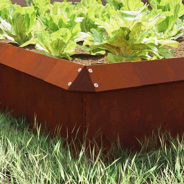 Se afișează imaginea 3 din 11