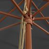 vidaXL Umbrelă de soare de grădină stâlp din lemn, antracit 400x273 cm