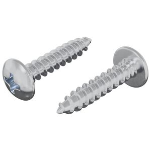 vidaXL Șuruburi din Lemn 2 pcs Argintiu M4 x 20 mm Oțel