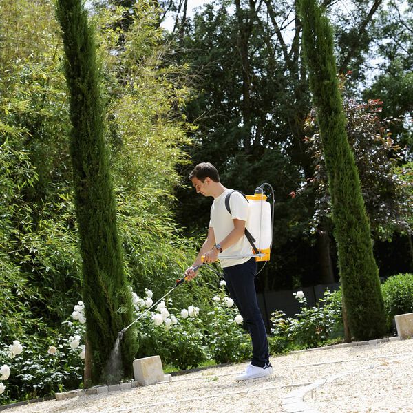 Hozelock Pulverizator cu presiune tip rucsac Pulsar Plus Comfort, 12 L