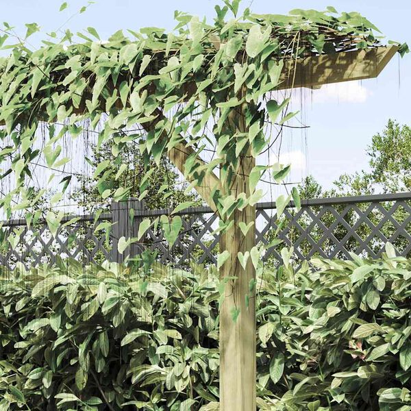 Se afișează imaginea 4 din 11