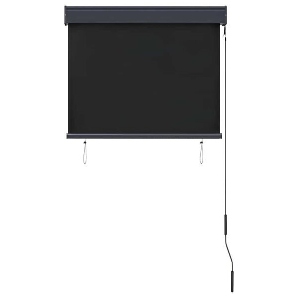 vidaXL Jaluzea tip rulou de exterior, antracit, 80 x 250 cm