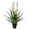 vidaXL Plantă artificială Orhidee Cymbidium cu ghiveci 100 cm verde