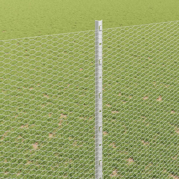 Se afișează imaginea 4 din 14