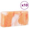 vidaXL Piatră de Sare 10 pcs Roz 20 x 5 x 10 cm Sare de rocă