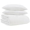 vidaXL Duvet de iarnă cu pernă 3 pcs Alb Pene de rață