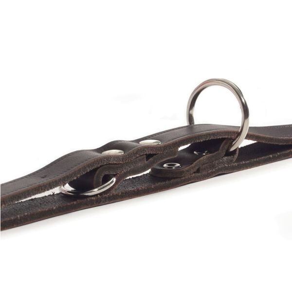 Beeztees Lesă de antrenament, maro, 200x1,2 cm, piele, 736401