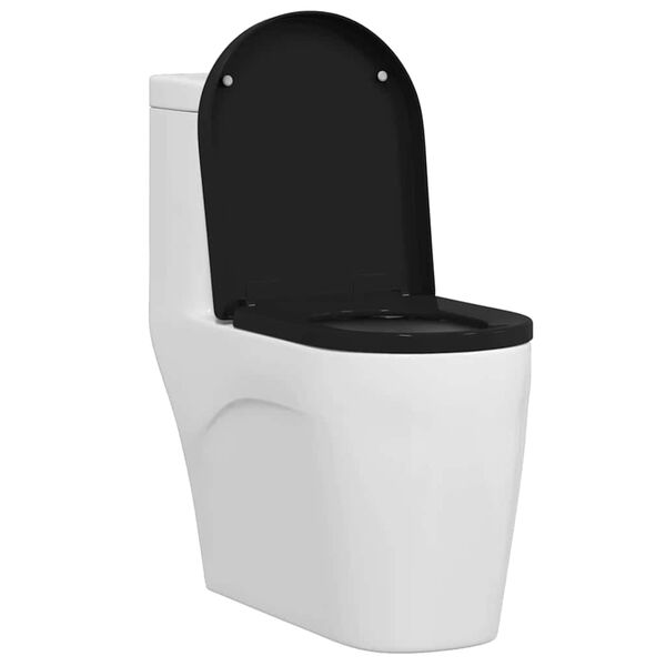 Se afișează imaginea 3 din 12