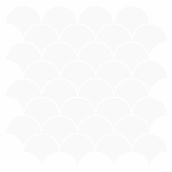 Se afișează imaginea 1 din 10